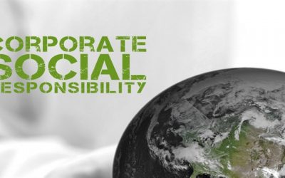 SDL Centrostudi: “non sono stato io!” Testimoni nel web