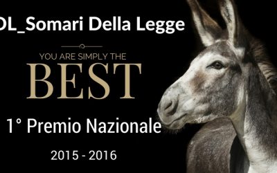 Mantova, Lite Temeraria ed è ancora di SDL Centrostudi!